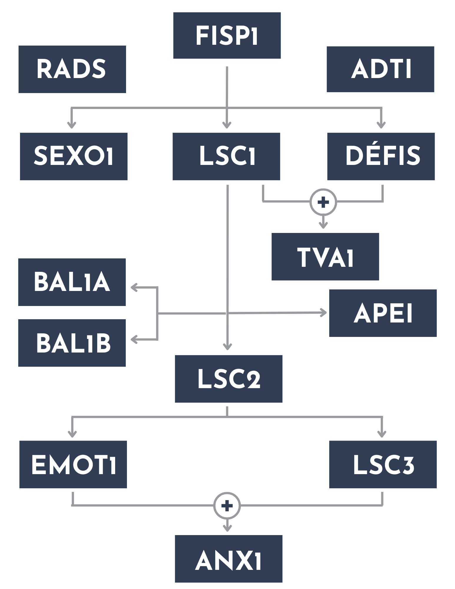 Parcours professionnel
